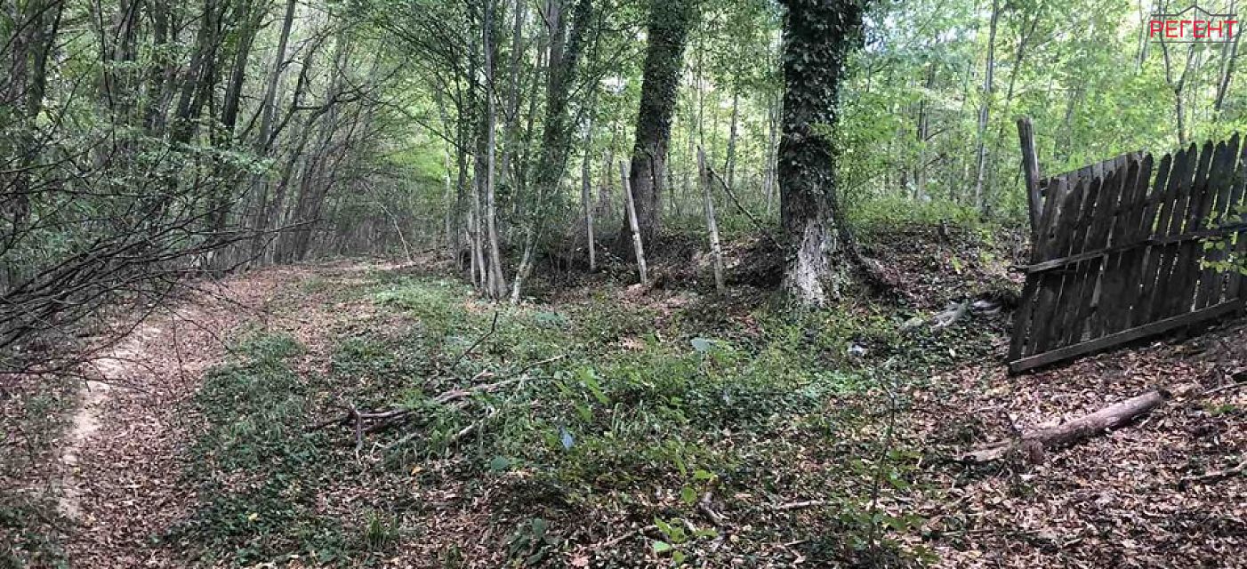  парцел Община Габрово 6 km от общ. център 