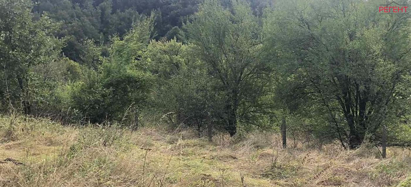  парцел Община Габрово 6 km от общ. център 